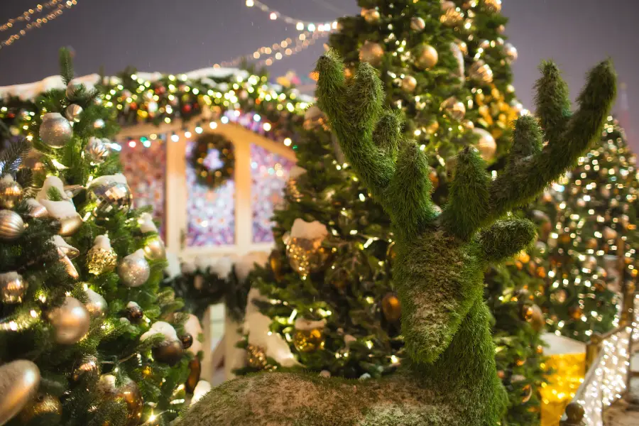 Common Mistakes In Christmas Light Installation in Sebastopol, CA